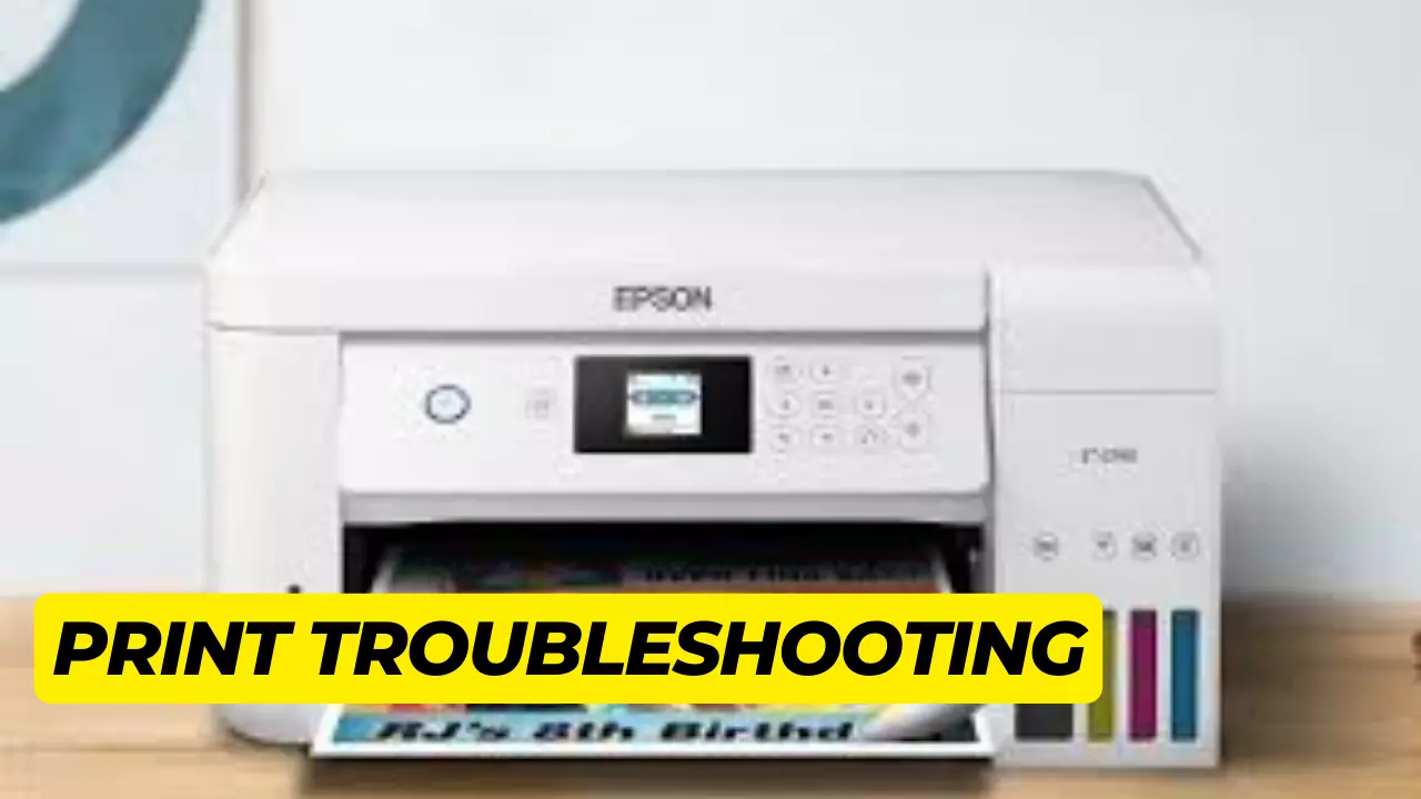 AnyConv.com__Epson Printer Troubleshooting (1)