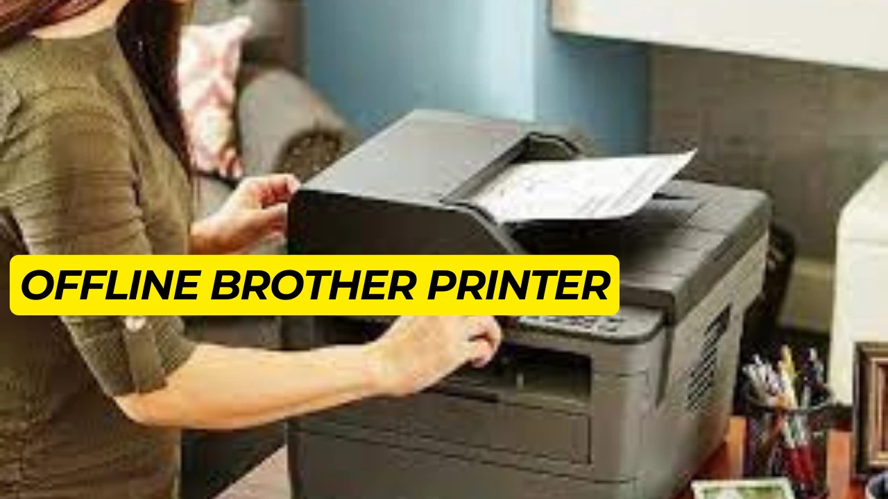 Offline Brother Printer