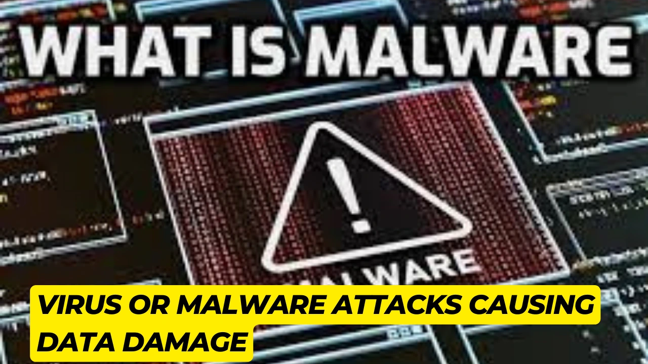 Virus or malware attacks causing data damage (1)